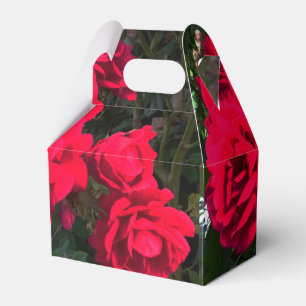 Caixinha De Lembrancinhas Rosas vermelhas florescendo