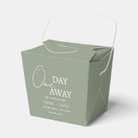 Sage Green Weding One Day Away Janta