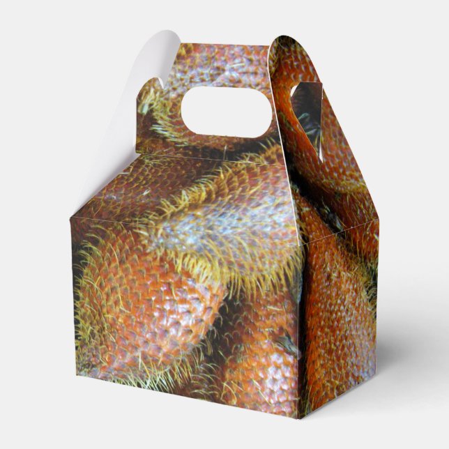 Caixinha De Lembrancinhas Salak [Fruta Cobra] (Frente)