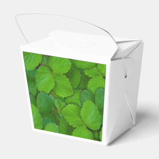Caixinha De Lembrancinhas Santo Basil Tulsi Green Mint Folhas (Verso)