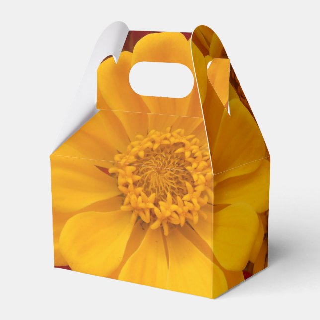 Caixinha De Lembrancinhas Sartain (Frente)