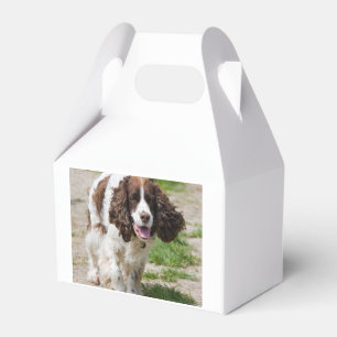 Caixinha De Lembrancinhas springer inglês de passeio spaniel.png
