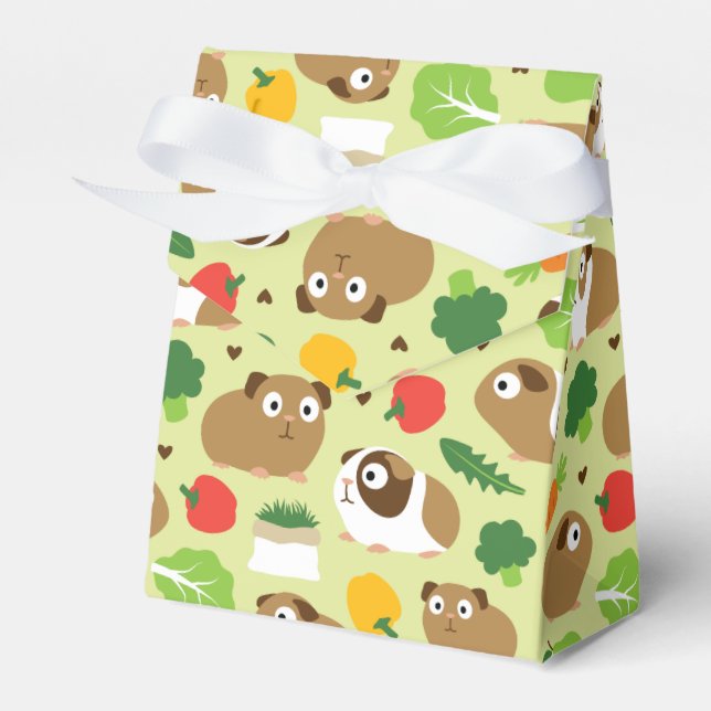 Caixinha De Lembrancinhas Suínos-guineenses E Seus Tratamentos (Frente)