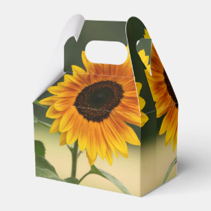 Caixinha De Lembrancinhas Summer Sunflower Organic Favor Box