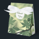 Caixinha De Lembrancinhas Sunlight Through Maple Leaves Thank You<br><div class="desc">Beautiful summery image of sunshine shining through green maple leaves creating a soft glow,  these party favors and products are perfect to personalise for a spring or summer wedding or for any special occasion.</div>
