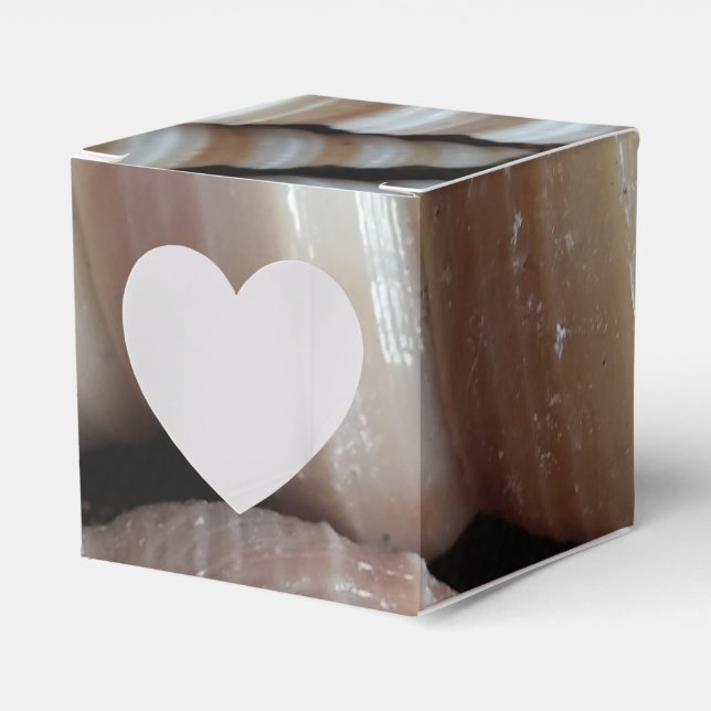 Caixinha De Lembrancinhas Sunny Seashells Favor Box, Summer Beach Weding (Frente)