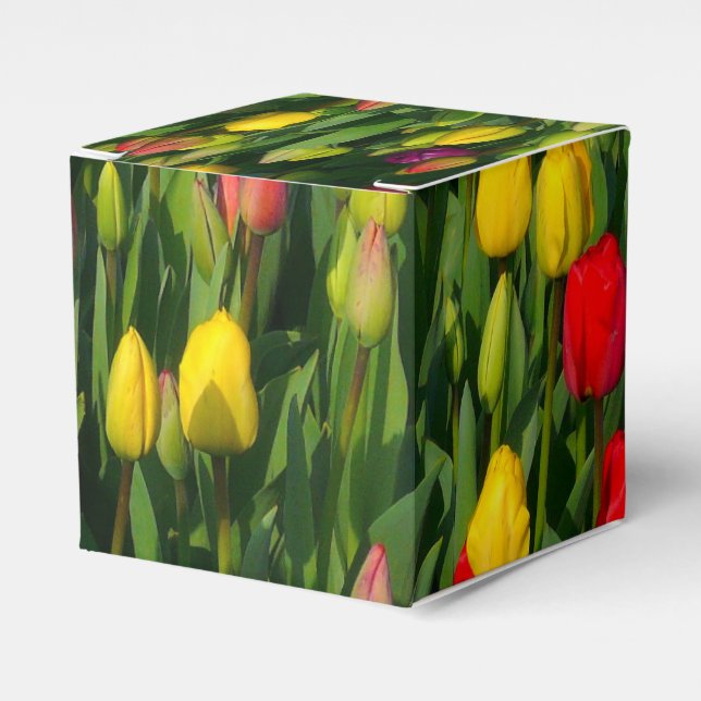 Caixinha De Lembrancinhas Tulipas Coloridas (Frente)