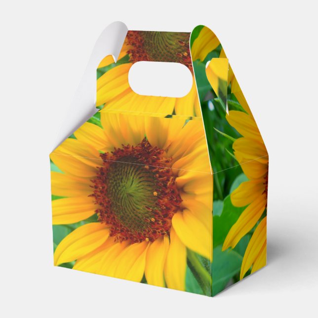 Caixinha De Lembrancinhas Vivid Sunflower (Verso)