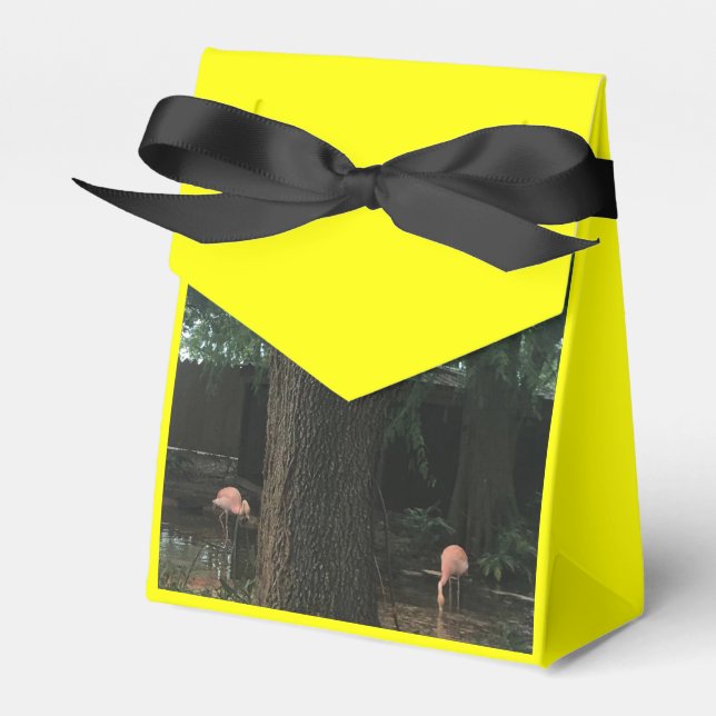 Caixinha De Lembrancinhas Zoo Love (Frente)