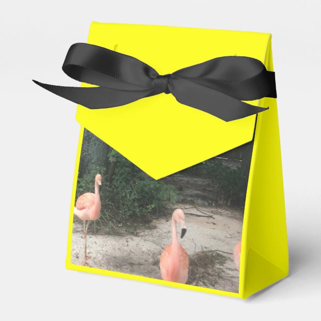 Caixinha De Lembrancinhas Zoo Love (Frente)