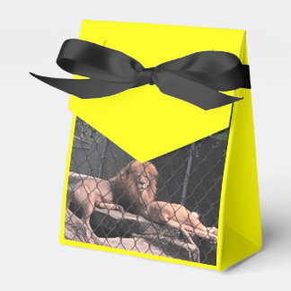 Caixinha De Lembrancinhas Zoo Love