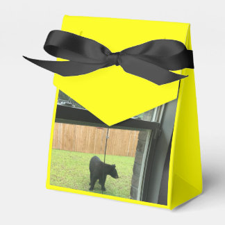 Caixinha De Lembrancinhas Zoo Love Favor Box