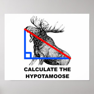 Calcule a Poster da Hypotamoose Engraçada