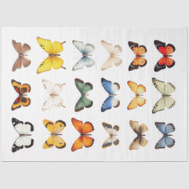 Caleidoscópio de borboletas 1 Papel de dissociação