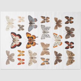 Caleidoscópio de Mães 1 Papel de Decoupage