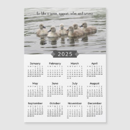 Calendar Baby Swans 2025 Magnet Fotografia