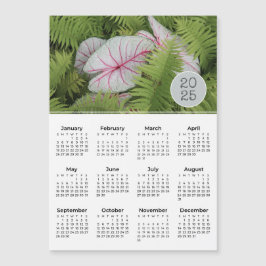 Calendar Ferns & Caladium Photo Magnet 2025