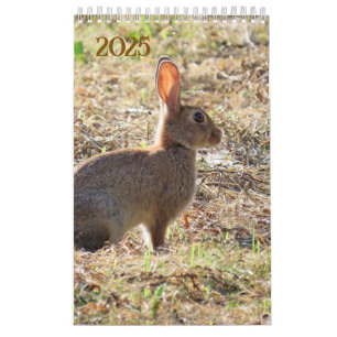CALENDÁRIO