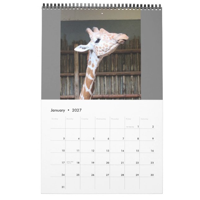 Calendário (Jan 2027)