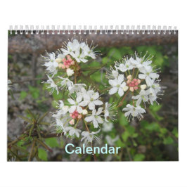 Calendário