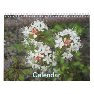 Calendário
