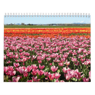 Calendário