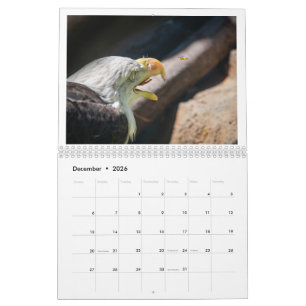 Calendário