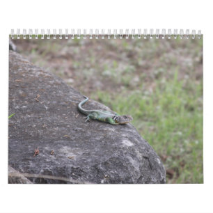 Calendário