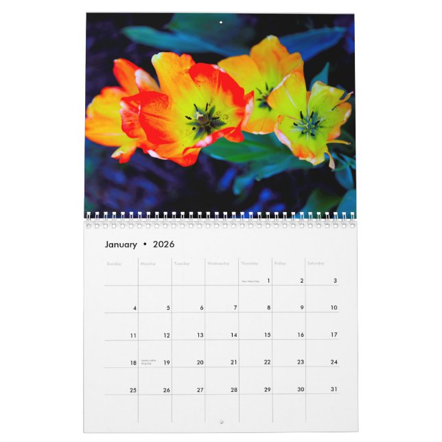 Calendário (Jan 2026)