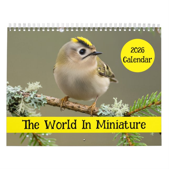 Calendário (Capa)