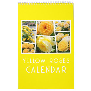 CALENDÁRIO