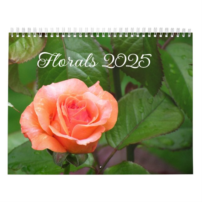 Calendário (Capa)