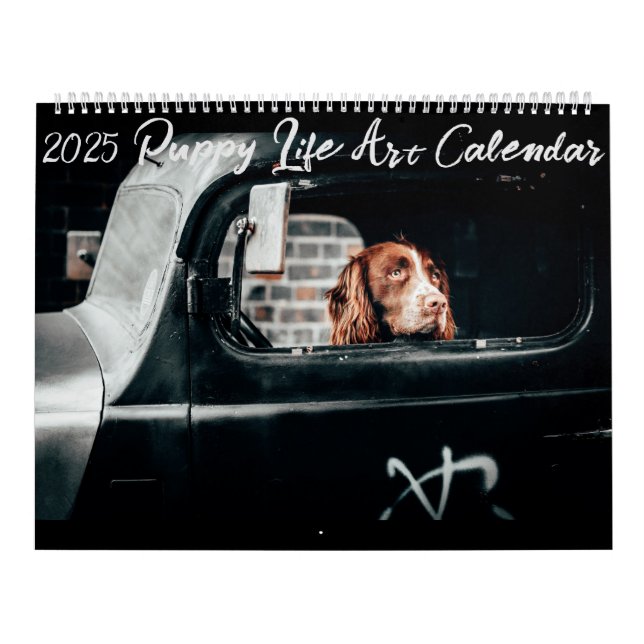 Calendário (Capa)