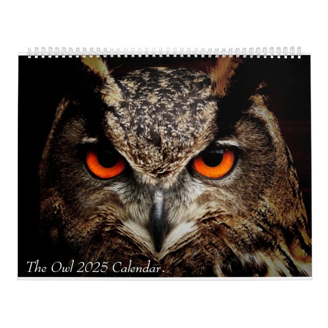 Calendário (Capa)