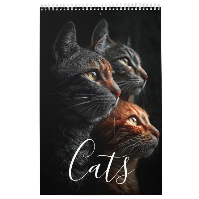 Calendário (Capa)