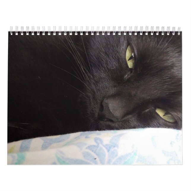 Calendário (Capa)