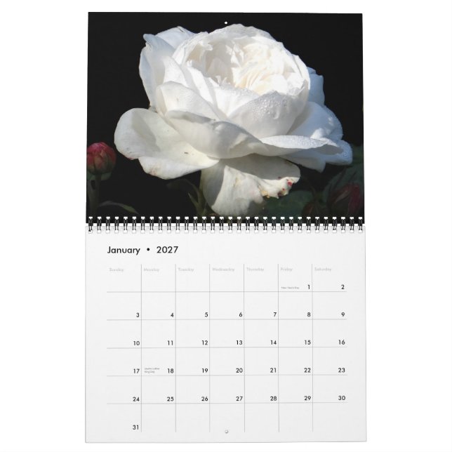 Calendário 0 2013 rosas gloriosos (Jan 2027)