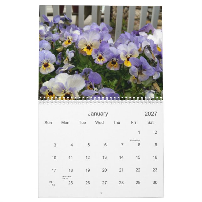 Calendário 0 Pansies, Pansies bonito (Jan 2027)