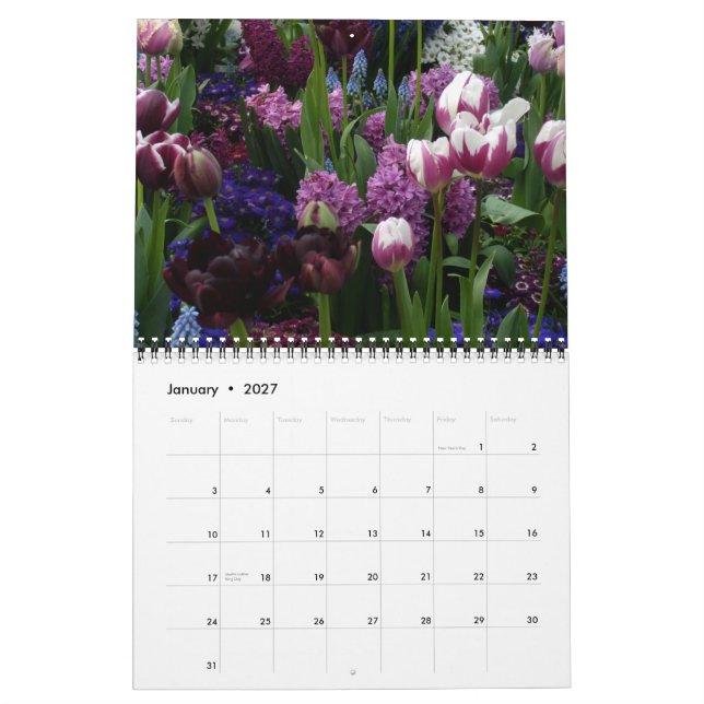 Calendário 0 Tulip Art (Jan 2027)