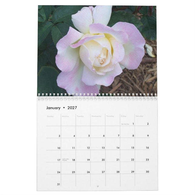 Calendário 100_1907, rosas 2006 de Overton (Jan 2027)