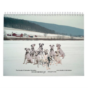 Calendário 11-2008_02, Dalmatian dobro de D… - Personalizad