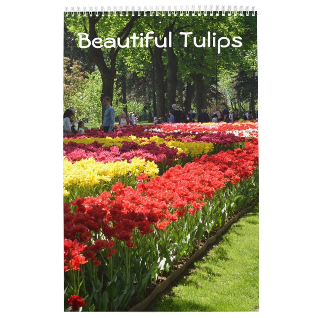 Calendário 12 meses Belas Tulipas (Capa)
