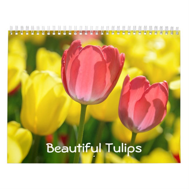 Calendário 12 meses Belas Tulipas (#2) (Capa)