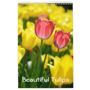 Calendário 12 meses Belas Tulipas (#2)