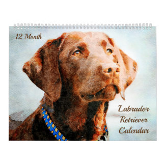 Calendário 12 Meses Cães Labrador Retriever Dogs Watercolor G