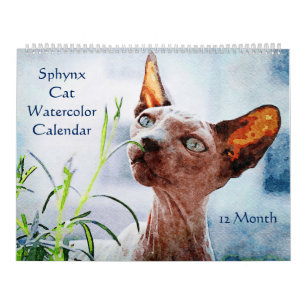 Calendário 12 Meses Cats Esfinge Sem Cabelo Pinturas Aquarela