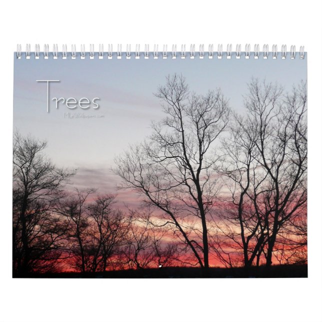 Calendário 12 Meses de Árvores Lindas, 1ª Edição (Capa)
