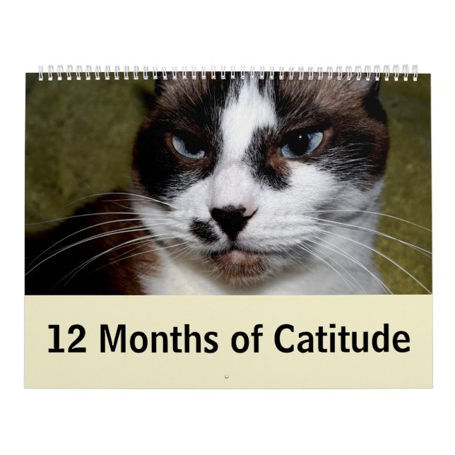 Calendário 12 meses de Catitude (Capa)