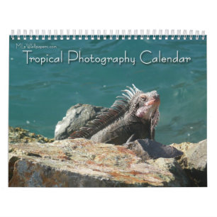 Calendário 12 Meses de Fotografia Tropical, 2ª Edição