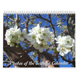 Calendário 12 meses de fotos das estações, 10ª edição